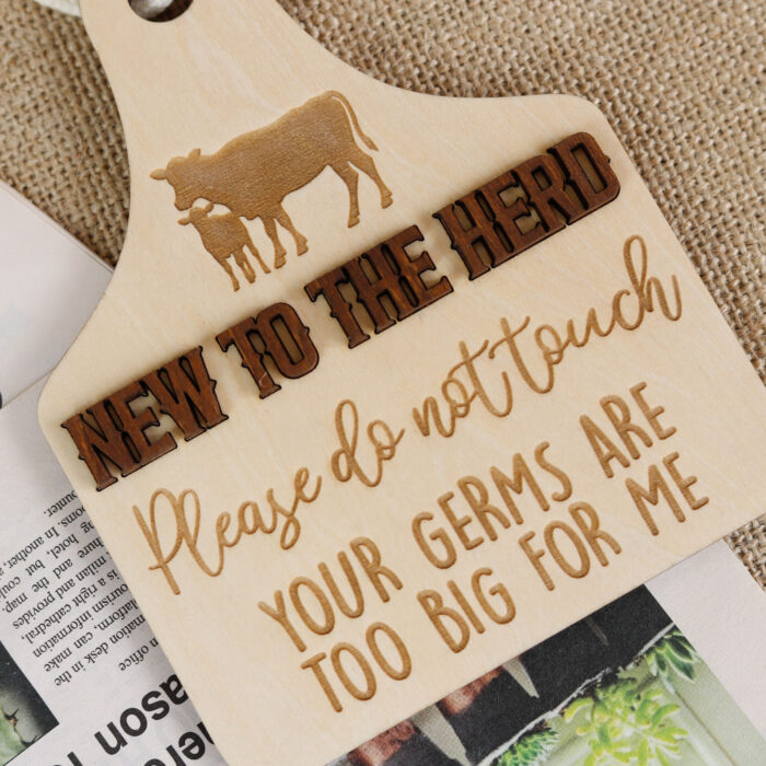 Personalized Baby Door Sign | Custom Nursery Decor Highland Cow Birth Keepsake - Image 9