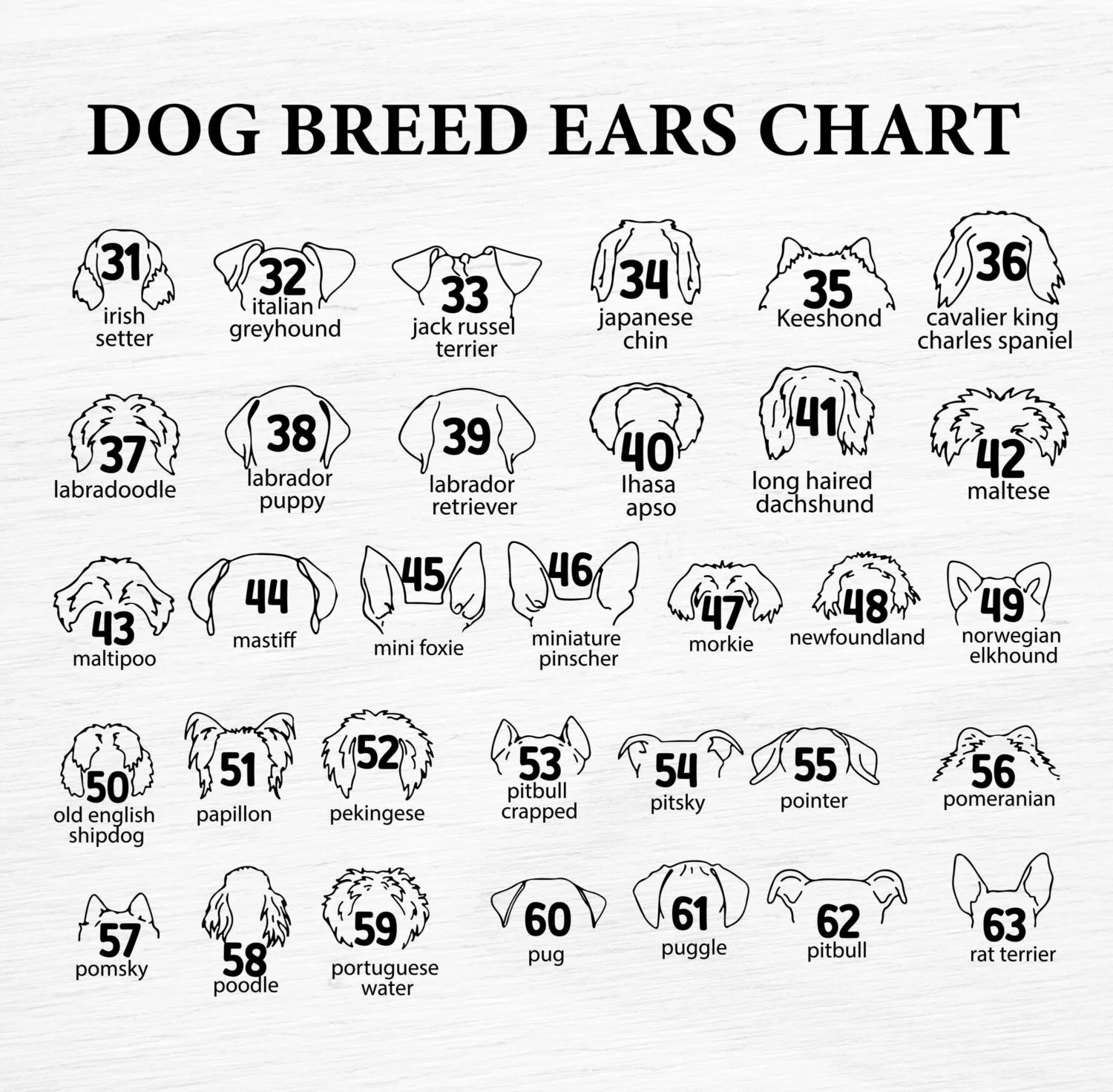 Personalized Dog Ear Artwork | Custom Wood Framed Pet Memorial Decor with Name | Unique Gift for Dog Lovers - Image 9