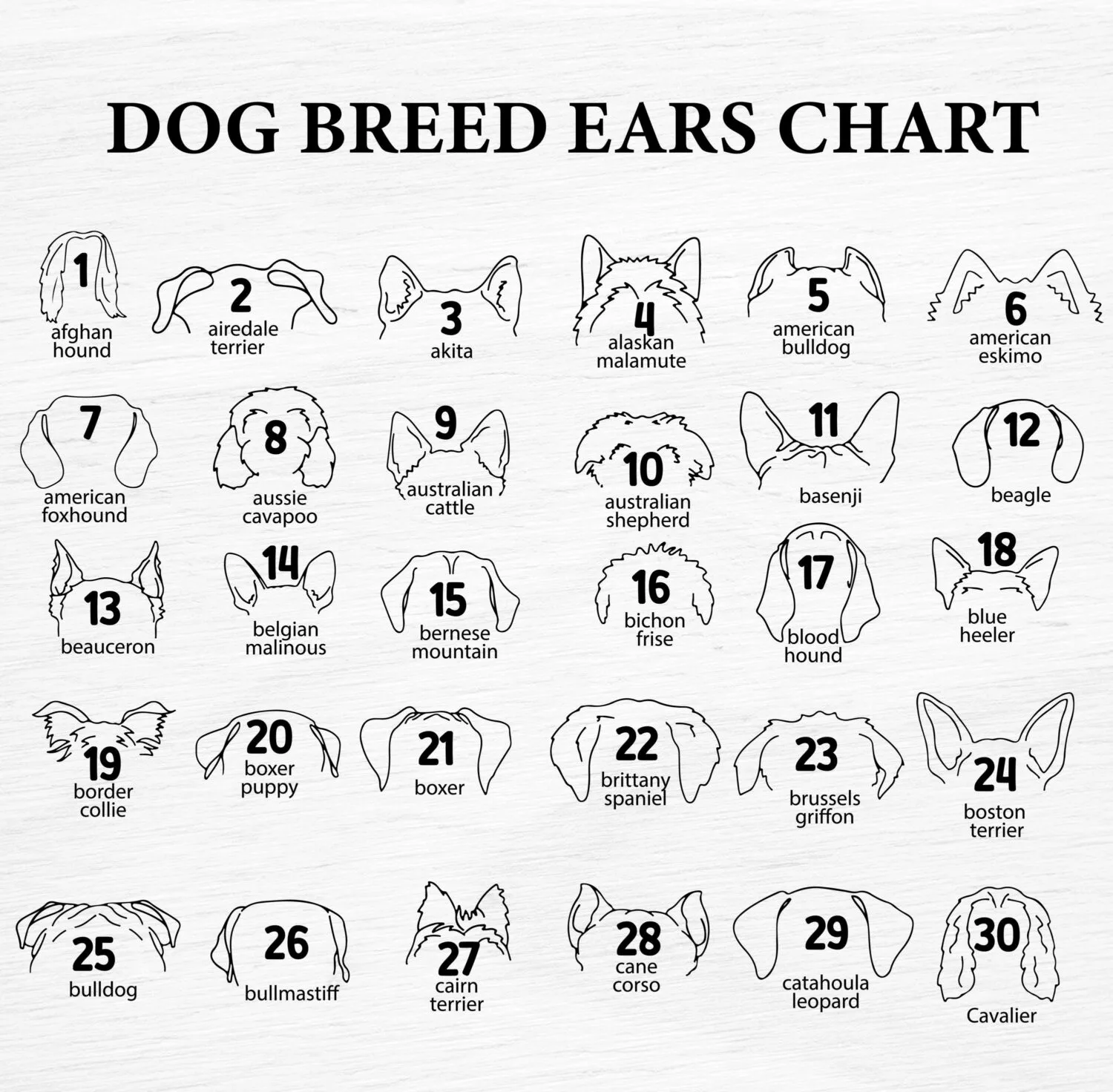 Personalized Dog Ear Artwork | Custom Wood Framed Pet Memorial Decor with Name | Unique Gift for Dog Lovers - Image 8