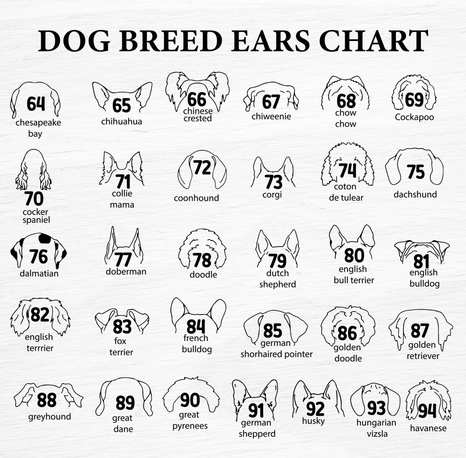 Personalized Dog Ear Artwork | Custom Wood Framed Pet Memorial Decor with Name | Unique Gift for Dog Lovers - Image 10