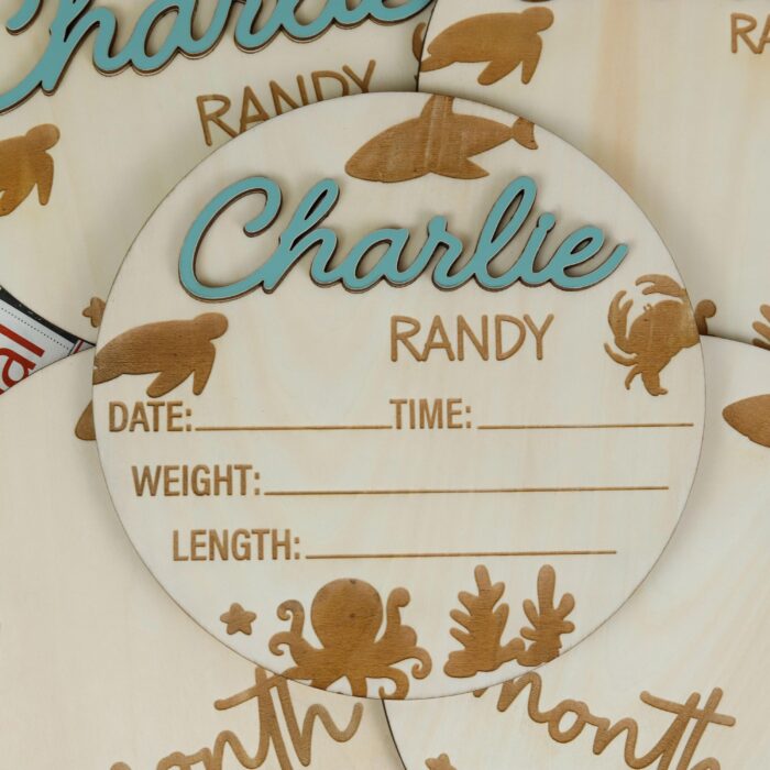 Sea Animal Baby Milestone Marker| Ocean Baby Monthly Milestone Discs| Wooden Sea Creature Milestone Set - Image 9