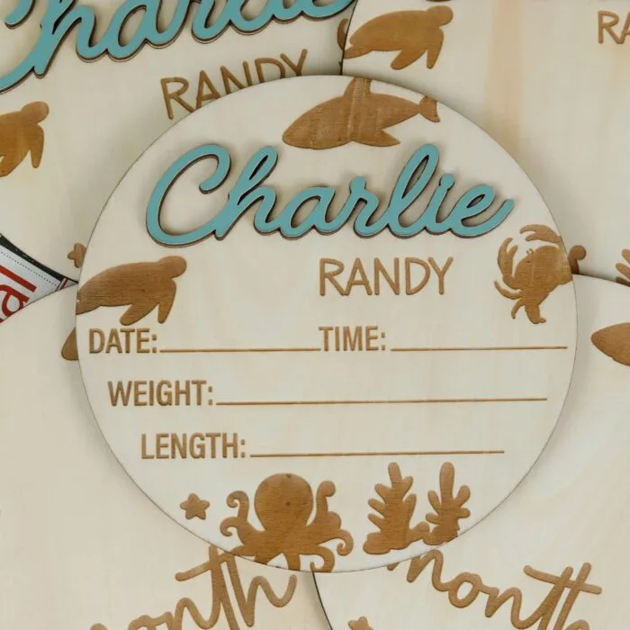 Sea Animal Baby Milestone Marker| Ocean Baby Monthly Milestone Discs| Wooden Sea Creature Milestone Set - Image 9